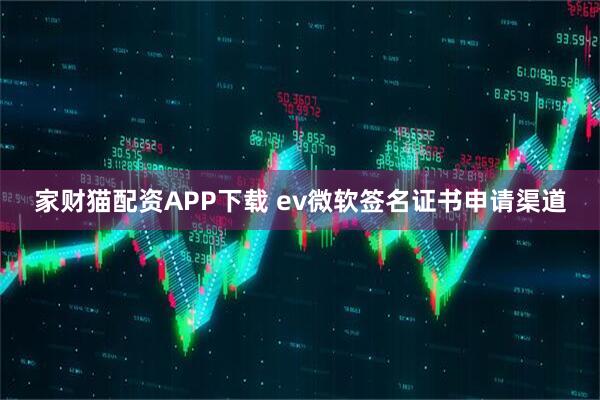 家财猫配资APP下载 ev微软签名证书申请渠道